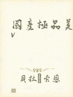 国产极品美女av