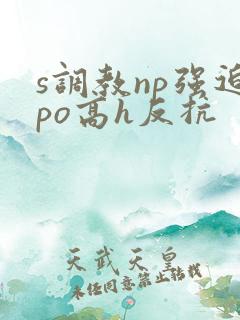 s调教np强迫po高h反抗