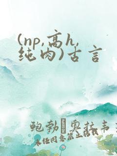 (np,高h,纯肉)古言