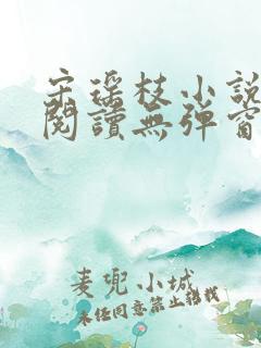 宋瑶枝小说免费阅读无弹窗最新章节