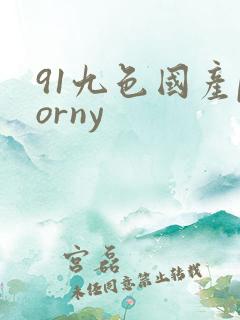 91九色国产porny