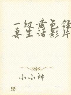 一级黄色录像夫妻生活影片