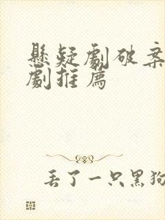 悬疑剧破案电视剧推荐