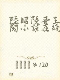 陆昭陵晋王周时阅小说在线阅读