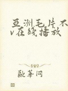 亚洲毛片不卡av在线播放