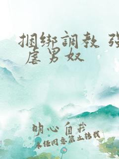 捆绑调教 强制 虐男奴