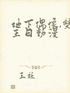 地下偶像,双男主日动漫