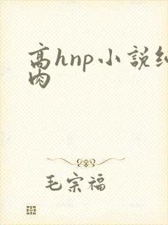 高hnp小说纯肉