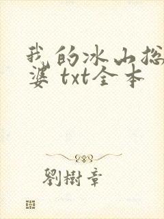 我的冰山总裁老婆 txt全本