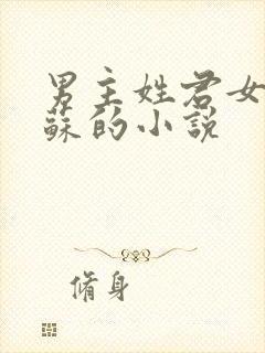男主姓君女主姓苏的小说