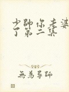 少帅你老婆又跑了第二集