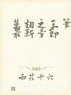 万相之王笔趣阁最新章节