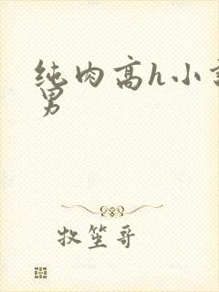 纯肉高h小说男男