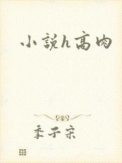 小说h高肉