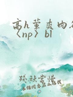 高h荤爽肉欲文〈np〉bl