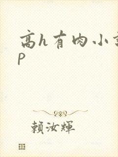 高h有肉小说np