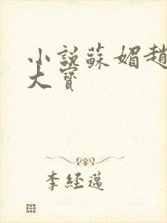 小说苏媚赵勇赵大宝