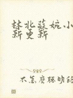 林北苏婉小说最新更新