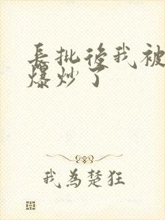 长批后我被宿敌爆炒了