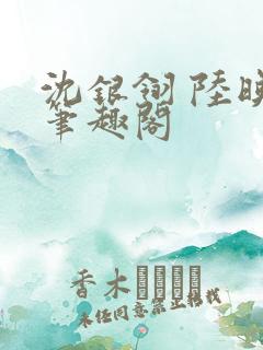 沈银翎 陆映 笔趣阁