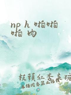 np h 啪啪啪 肉