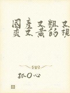 国产又粗又猛又爽又黄的视频一