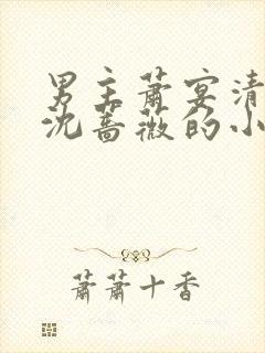 男主萧宴清女主沈蔷薇的小说