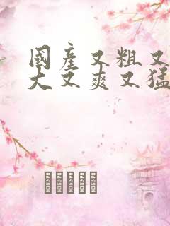 国产又粗又长又大又爽又猛视频