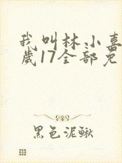 我叫林小喜今年岁17全部免费阅读