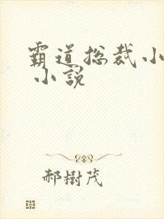 霸道总裁小娇妻 小说