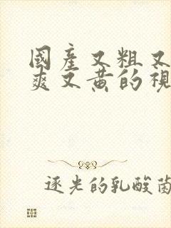 国产又粗又猛又爽又黄的视频先