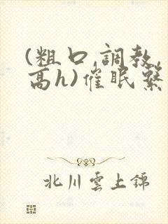 (粗口,调教,高h)催眠系统