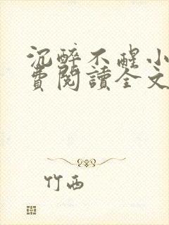 沉醉不醒小说免费阅读全文无弹窗