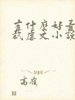 有什么好看的总裁虐文小说推荐