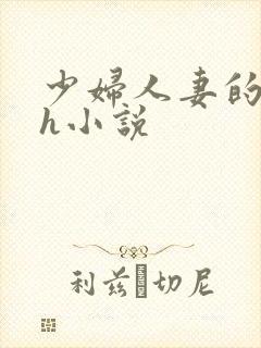 少妇人妻的欲望h小说