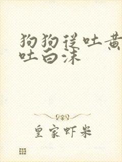 狗狗从吐黄水到吐白沫