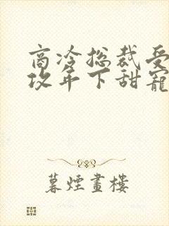 商冷总裁受宠弟攻年下甜宠小说