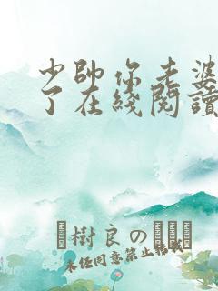 少帅你老婆又跑了在线阅读