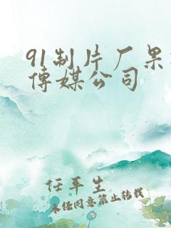 91制片厂果冻传媒公司