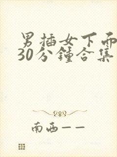 男插女下面视频30分钟合集