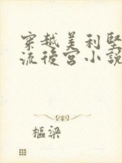 穿越美利坚之风流后宫小说