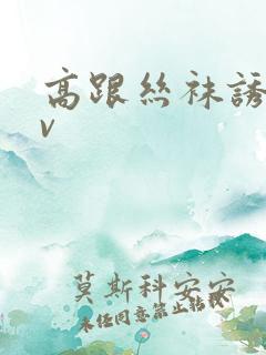 高跟丝袜诱惑av