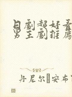 日剧超好看的双男主剧推荐