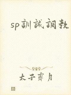 sp训诫调教