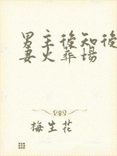 男主后知后觉追妻火葬场