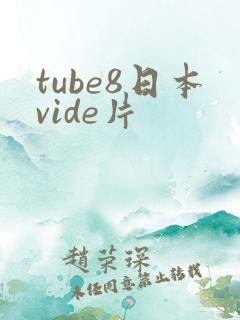 tube8日本vide片