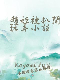 赵姬被扒开双腿玩弄小说