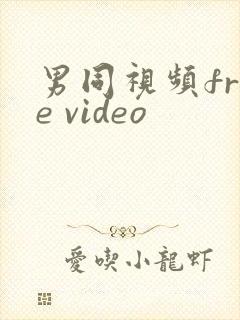 男同视频free video