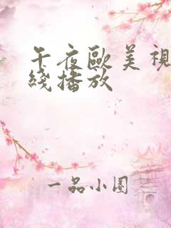 午夜欧美视频在线播放