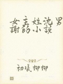 女主姓沈男主姓谢的小说